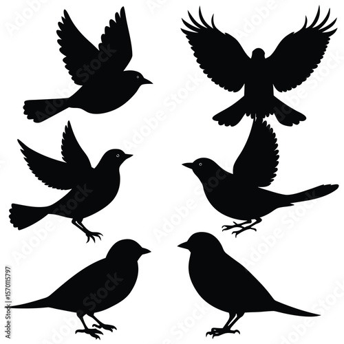 Bird Silhouette Vector Illustration Set with Perched and Flying Poses