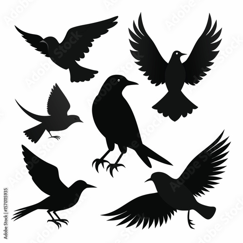 Bird Silhouette Vector Illustration Set Perched and Flying Poses Collection