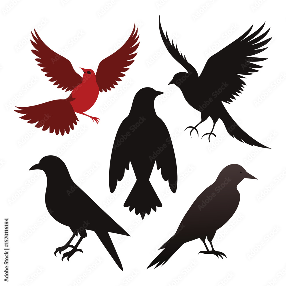 Fototapeta premium Bird Silhouette Vector Illustration Set Perched and Flying Poses Six Different Birds