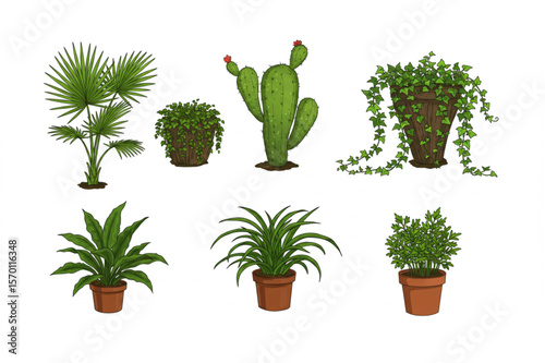 Charming assortment of potted plants showcases a variety of foliage, from ferns to cacti, suitable for botanical designs.