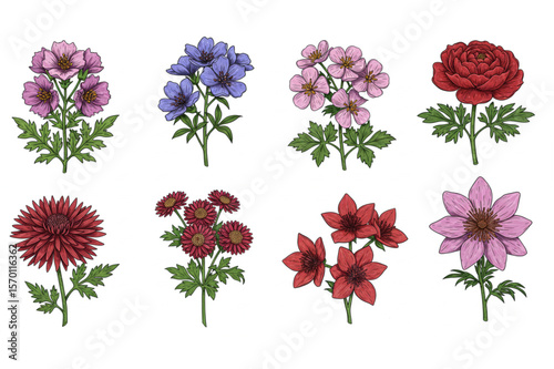 Elegant assortment of colorful flower designs, presenting a botanical collection perfect for print, patterns, or creative digital projects.