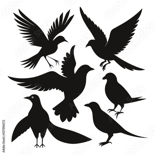 Bird Silhouette Vector Illustration Set Perched and Flying Poses Collection