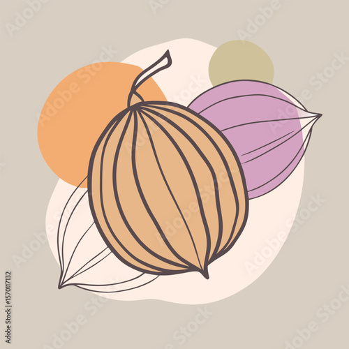 Nectarine Fruit Silhouette Vector Illustration with Stem on White Background
