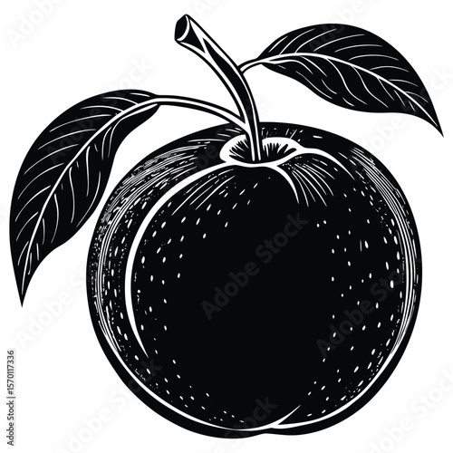 Nectarine Silhouette Vector Illustration with Stem on White Background