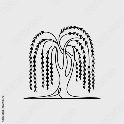 Minimalist line art of a willow tree with flowing branches  