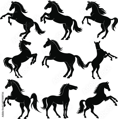 Horse silhouette bundle set vector A collection of 9 black horse silhouettes in various poses, including jumping, standing, sitting, and digital use with white background 