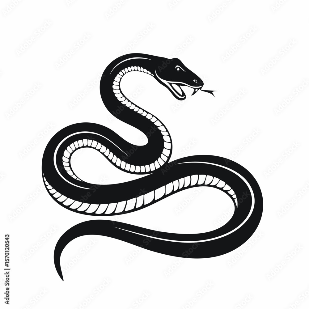 Fototapeta premium Black mamba Vector Images. Black and white Mamba Snake Images isolated on white background.