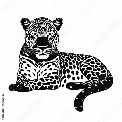 Leopard Lying image vector. Leopard laying down Stock Vector Images