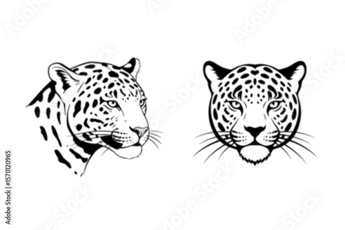 Striking leopard heads, a bold graphic presenting a pair of jaguar depictions ideal for logo design, or wildlife-themed projects.