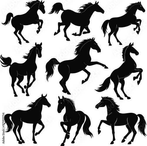 Horse silhouette bundle set vector A collection of 9 black horse silhouettes in various poses, including jumping, standing, sitting, and digital use with white background 