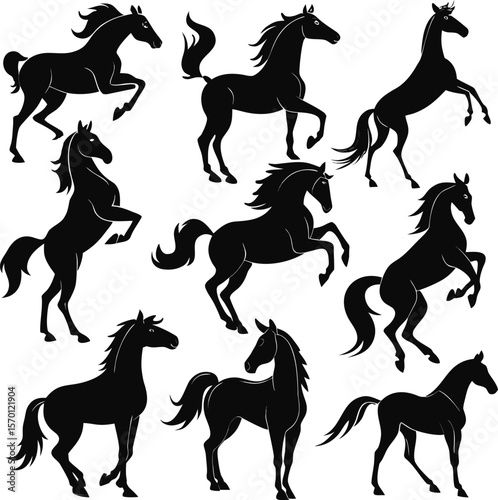 Horse silhouette bundle set vector A collection of 9 black horse silhouettes in various poses, including jumping, standing, sitting, and digital use with white background 