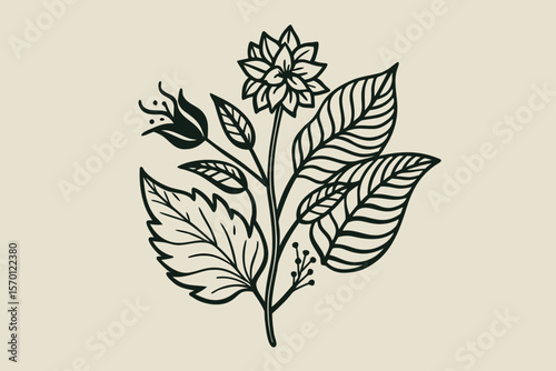 Vintage Botanical Sketches in Ink