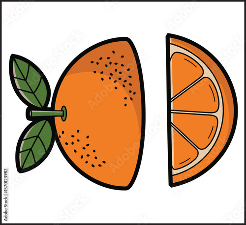 Orange Half and Slice Icons Set - Vector Collection of Citrus Fruit Cross Section Illustrations