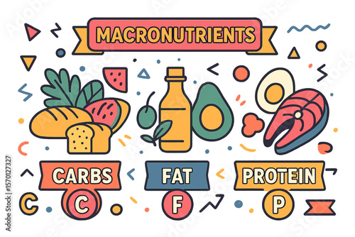 Macronutrients are collected along with grocery food nutrients in an outlined collection, which includes healthy elements like vitamins, minerals, and a nutrition source vector illustration, all