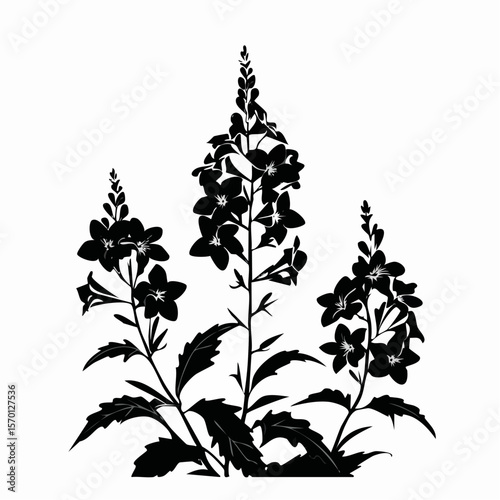 Lobelia Flower Silhouette Vector Illustration on white background.