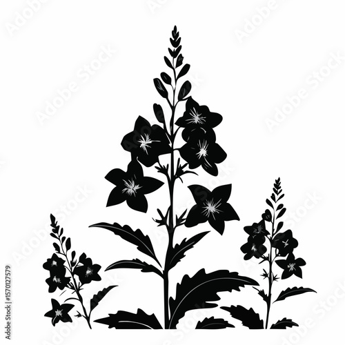 Lobelia Flower Silhouette Vector Illustration on white background.