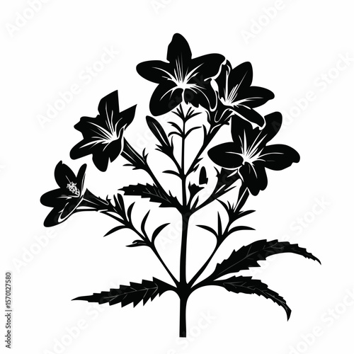 Lobelia Flower Silhouette Vector Illustration on white background.