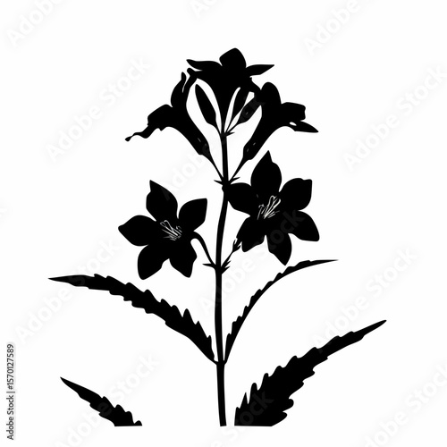 Lobelia Flower Silhouette Vector Illustration on white background.