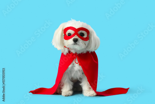Cute little dog in superhero costume on blue background