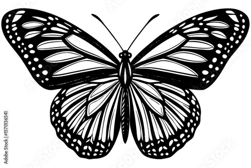 Beautiful monarch butterfly insect with spread wings isolated on white background