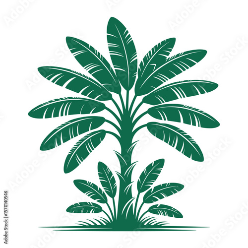 Dark Green Tropical Banana Tree Silhouette Illustration