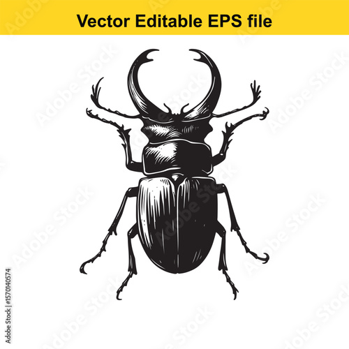 Detailed Stag Beetle Illustration Striking Black and White Depiction of a Majestic Insect Specimen