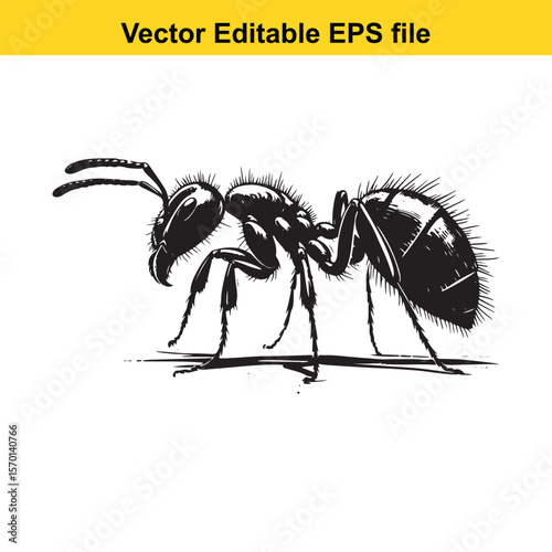 Detailed Vector Illustration of a Black Ant with Intricate Details and Fine Lines in a Classic Style