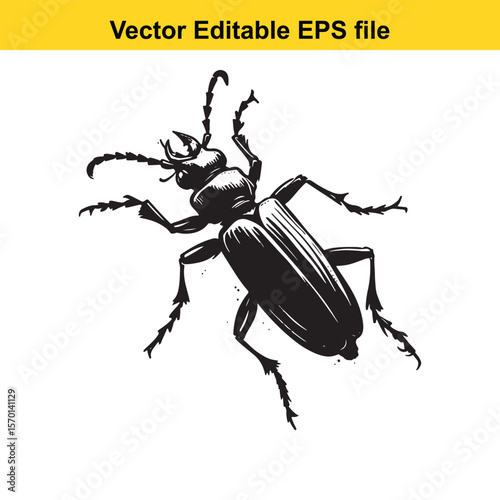 Detailed Vector Illustration of a Darkling Beetle Creeping Upward Insect Arthropod Species Illustration