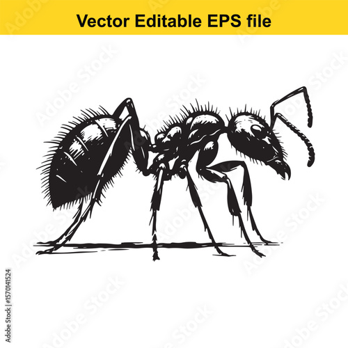 Detailed Black and White Illustration of an Ant with Spiky Texture a Macro Perspective of Insect Anatomy
