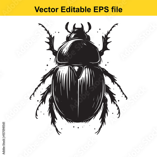 Detailed Vector Illustration of a Dung Beetle Depicted in Black and White with Intricate Line Work and Texture