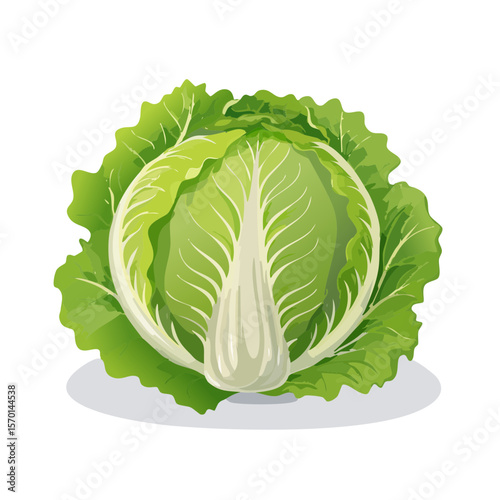 Fresh Green Cabbage Head with Crisp Leaves Close-up Illustration Isolated on Black Background, Healthy Food Element