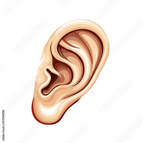 Isolated Human Ear Illustration on Black Background with Anatomical Details