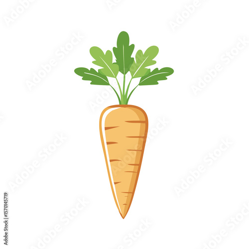 Cartoon Carrot Illustration on Black Background Fresh Vegetable Graphic Icon Food Symbol Isolated Agriculture Harvest Growing