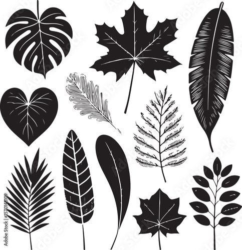 Collection of black and white leaf illustrations in diverse shapes on white background