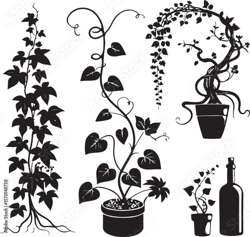 Silhouettes of lush plants and vines in pots for decorative graphic design elements