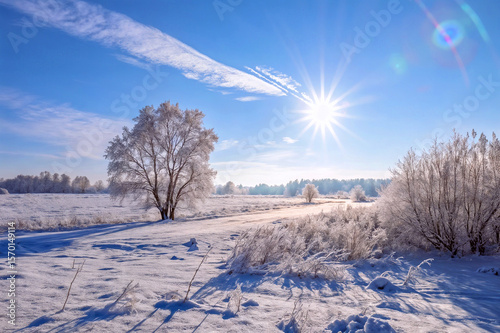 Winter landscape with sun shining over snowy field and trees  