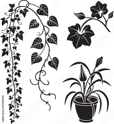 Elegant vector illustration of various foliage elements perfect for design and decoration