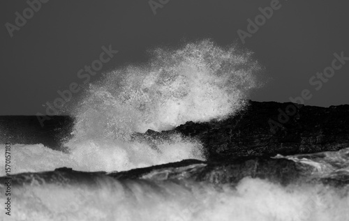 Fototapeta Naklejka Na Ścianę i Meble -  Monochrome photo of sea spray from a wave crashing on a rocky shore of Hawaii