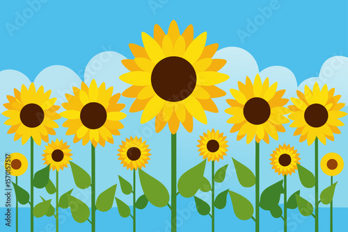 Field of Sunflowers Under Soft Blue Sky