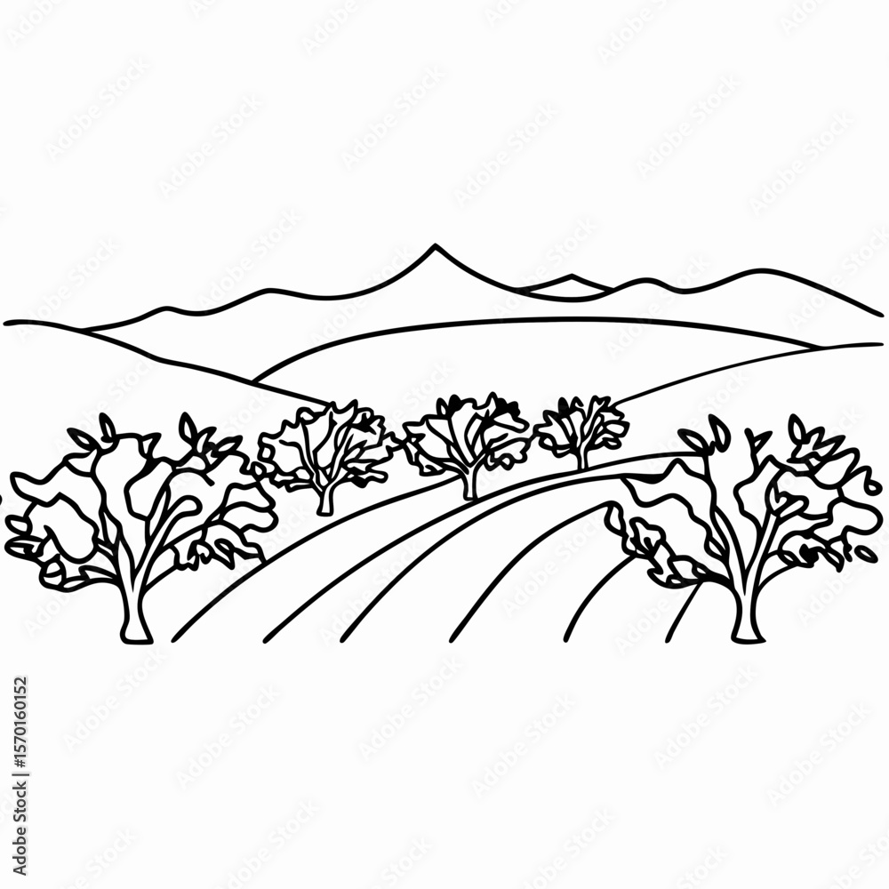 Fototapeta premium Illustration shows olive orchard with distant mountains, beautifully contoured in black lines, capturing scenic beauty.