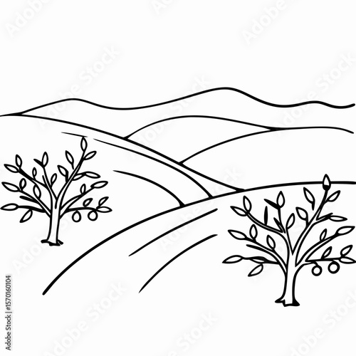 Mediterranean landscape with olive trees in simple black and white drawing. Mediterranean landscape illustration features mountains in background and cultivated plants.