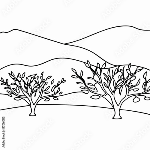 Mediterranean landscape with olive trees for coloring books and relaxing art, depicting gentle hills and stylized trees. Mediterranean landscape with olive trees in minimal lineart style.