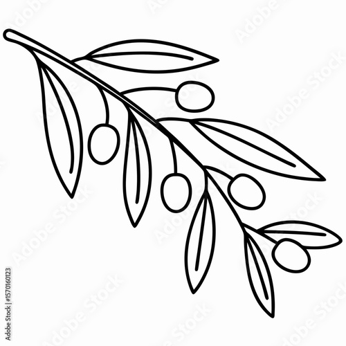 Olive branch with leaves and fruits, a delicate botanical illustration, provides serene elegance. Olive branch line art with detailed leaves and ripened fruits, a symbol of peace and tranquility,