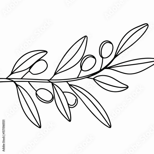 Olive branch with leaves and fruits in a simple line art drawing, representing peace and abundance. This olive branch depiction features slender leaves and plump olives,