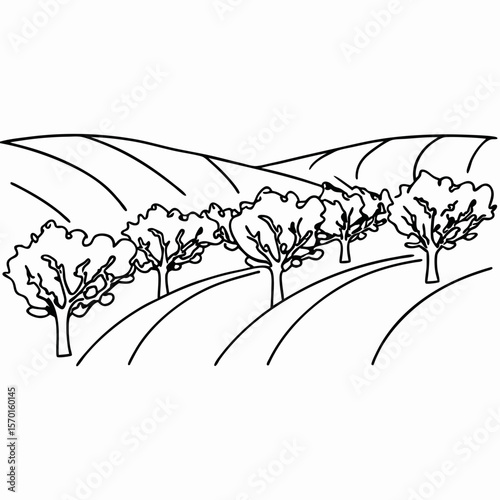 Exploring olive-grove-landscape, showcasing stylized olive grove and undulating hills. Olive-grove-landscape shows tranquility and picturesque nature, in graphic simplicity.