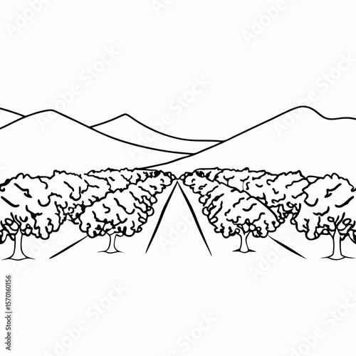 Olive orchard with distant mountains depicted in line art style. Olive orchard extends into distance, trees forming rows leading toward mountains.