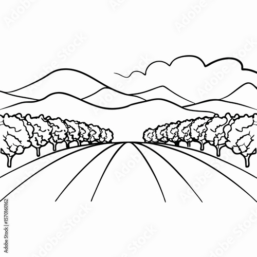Linear olive orchard illustration with distant mountains in black and white. Olive orchard drawing shows rows of trees receding to mountains, creating a tranquil scene of rural landscape.