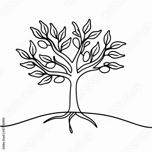 Olive tree with roots visible drawn as a simple line art illustration on white backdrop. Olive tree with roots visible, showcasing its underground structure, symbolizing stability and growth,
