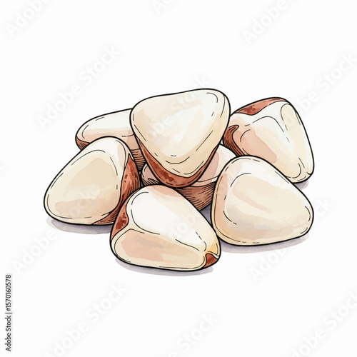 A Handful of Pine Nuts