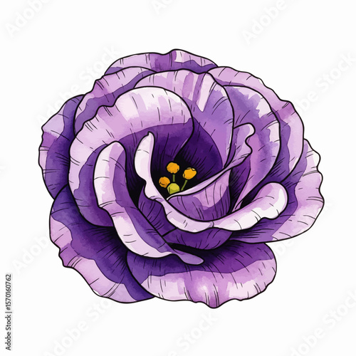 A Purple Lisianthus